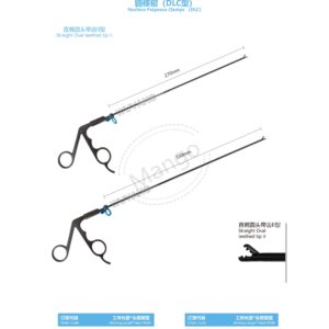 9. 脊柱系列产品图册 Spinal 13